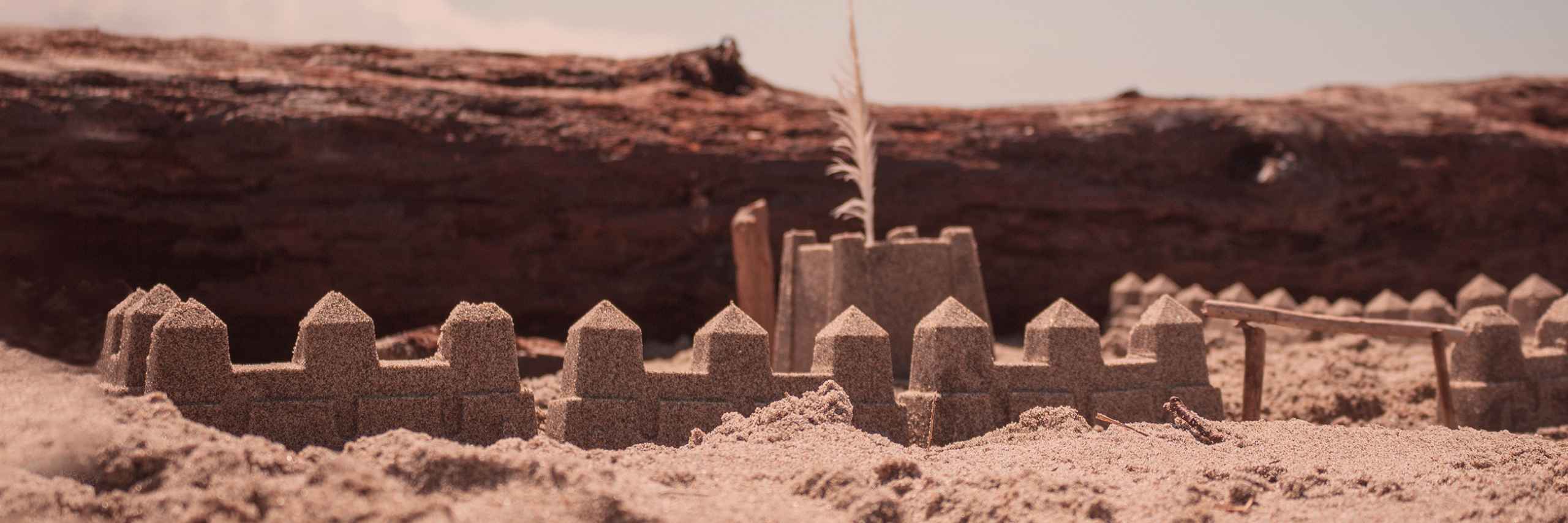 Richard Petrík header image